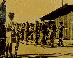 Pasukan Polis Malayan Union