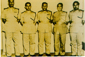 Malayanisasi