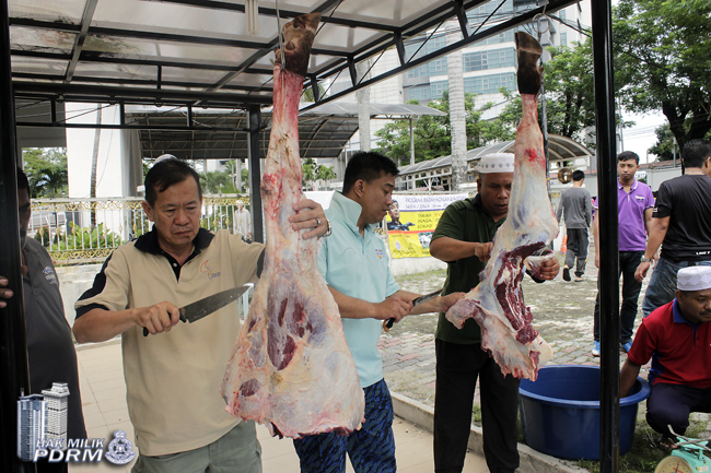 _MG_0211 Korban Tiga Ekor Lembu Sempena Aidiladha