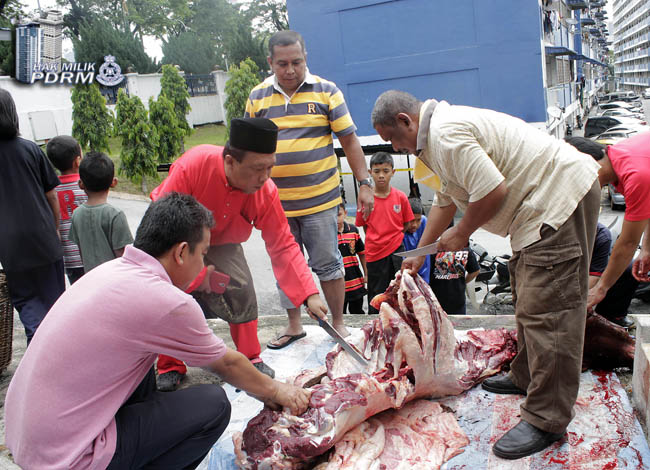 _MG_0226 Korban Tiga Ekor Lembu Sempena Aidiladha