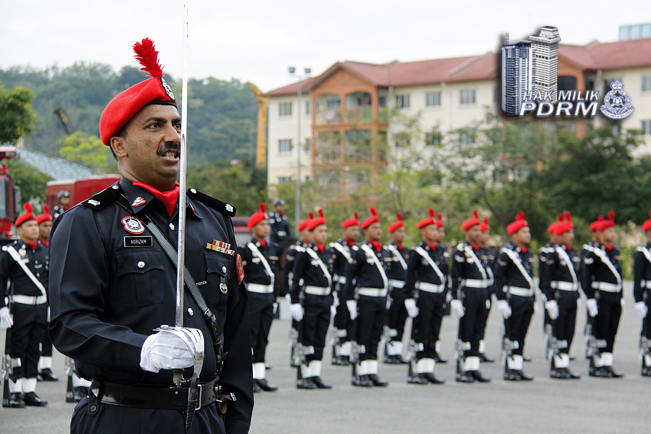 Pasukan Simpanan Persekutuan Genap 59 Tahun