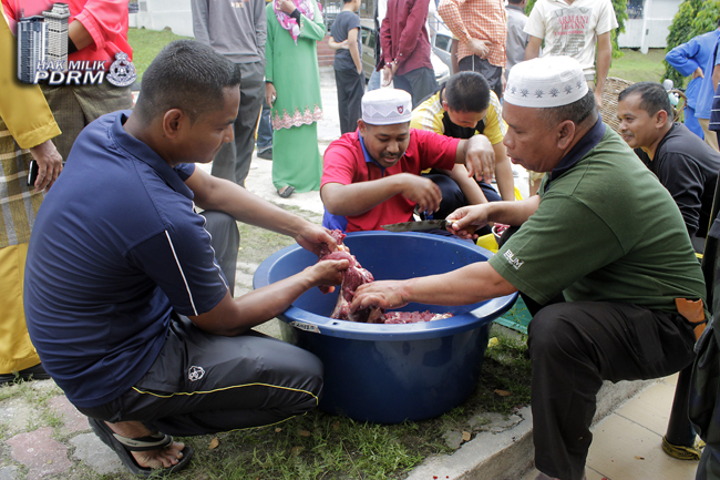 _MG_0236 Korban Tiga Ekor Lembu Sempena Aidiladha