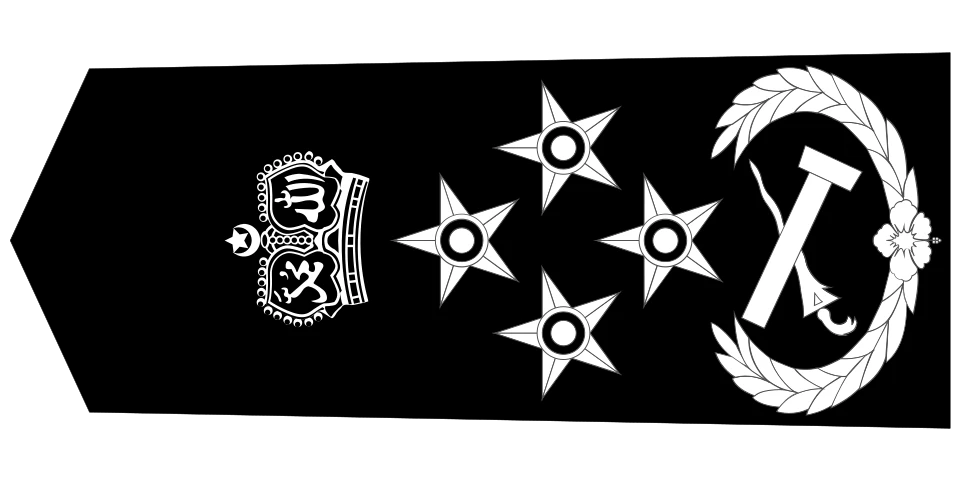 Inspektor Jeneral Polis / Ketua Polis Negara