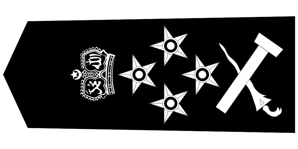 Deputi Inspektor Jeneral Polis / Timbalan Ketua Polis Negara