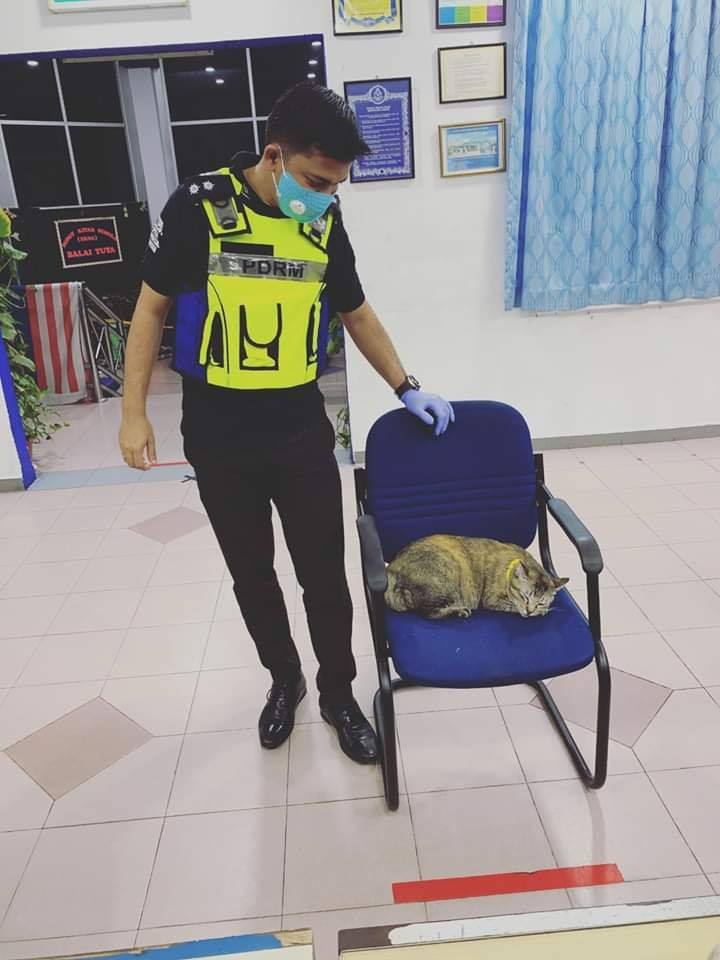 Pic Of The Day Alahai Kucing Penat Sebab Night Duty Ke