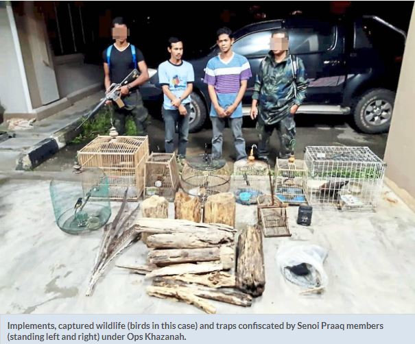 2 bird Artikel Pilihan Wildlife Warriors To The Rescue