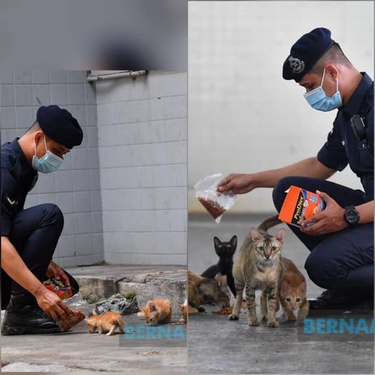 qw Pkp Pkpb Pkpp Covid 19 Pic Of The Day Tanggungjawab Dan Kasih Sayang Adalah Beriringan