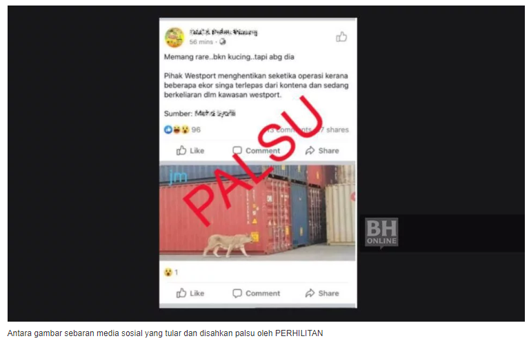 Berita Palsu Perhilitan Nafi Kelibat Singa Di Westport