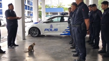 Video Pilihan Usik Usik Jangan Banyak Komplain