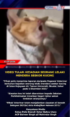 Video Tular Kejadian Seorang Lelaki Mendera Seekor Kucing