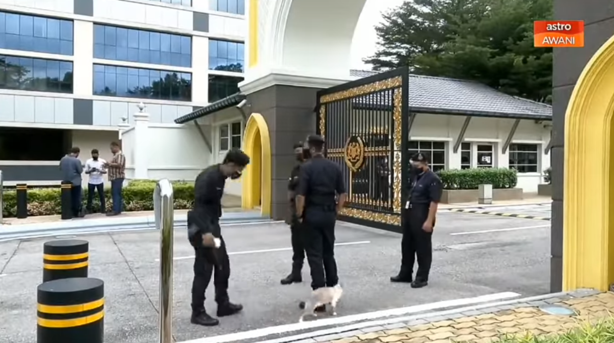 Video Pilihan Usik Usik Aksi Si Putih Tarik Perhatian Abang Polis Di Istana Negara