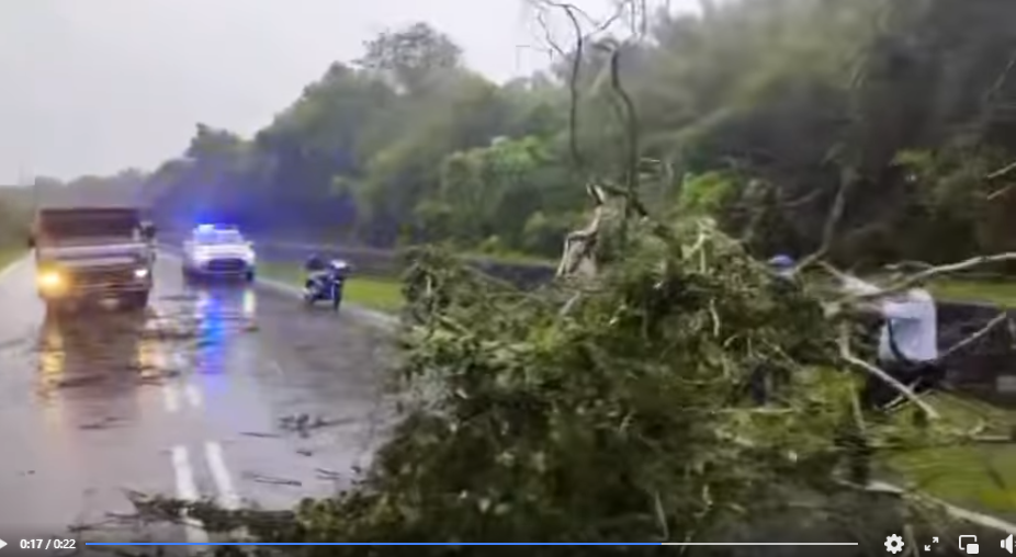 Biarjasajadikenangan Video Pilihan Anggota Bsptd Seremban Bantu Alihkan Pohon Tumbang