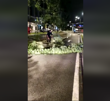 Biarjasajadikenangan Video Pilihan Polis Ipd Serdang Prihatin Bantu Alihkan Pokok Tumbang