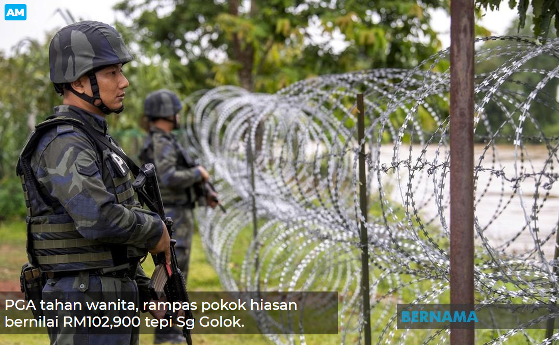 Pkp Pkpb Pkpp Covid 19 Op Benteng Artikel Pilihan Pga Tahan Wanita Rampas Pokok Hiasan Bernilai Rm102 900