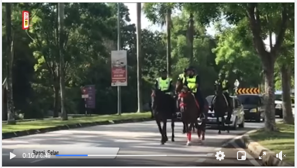 Video Pilihan Rondaan Berkuda Di Taman Perumahan Dan Premis Perniagaan