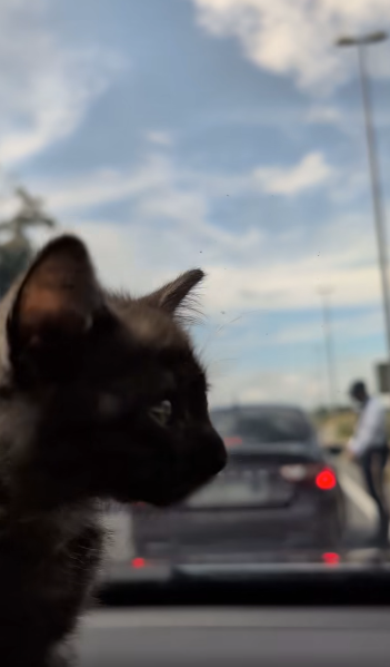 Usik Usik Situasi Di Sekatan Jalan Raya
