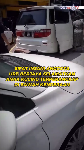 Biarjasajadikenangan Video Pilihan Sifat Insani Anggota Urb Berjaya Selamatkan Anak Kucing Terperangkap Di Bawah Kenderaan