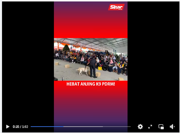 Video Pilihan Aksi Lima Anjing K9 Pukau Penonton