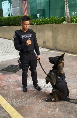 Usik Usik Hero K9 Sedia Beraksi