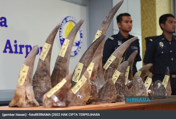 Artikel Pilihan Pdrm Pantau Kes Rakyat Malaysia Diekstradisi Ke As Atas Dakwaan Seludup Hidup Liar