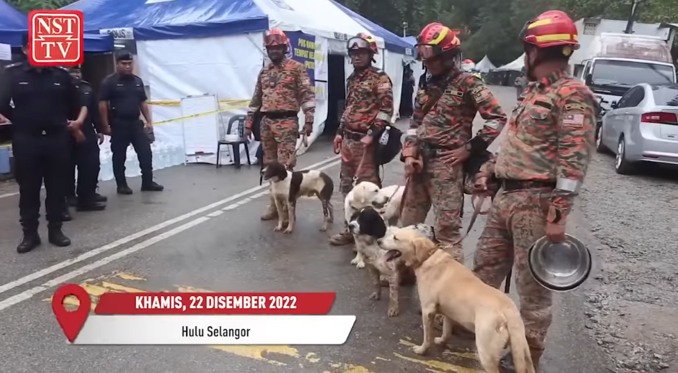 Video Pilihan Tanah Runtuh Anjing K9 Dapat Sumbangan Makanan Rawatan