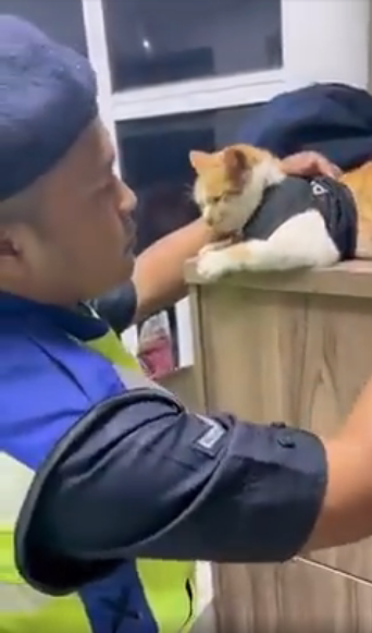 Usik Usik Gelagat Si Mata Mata Pdrm