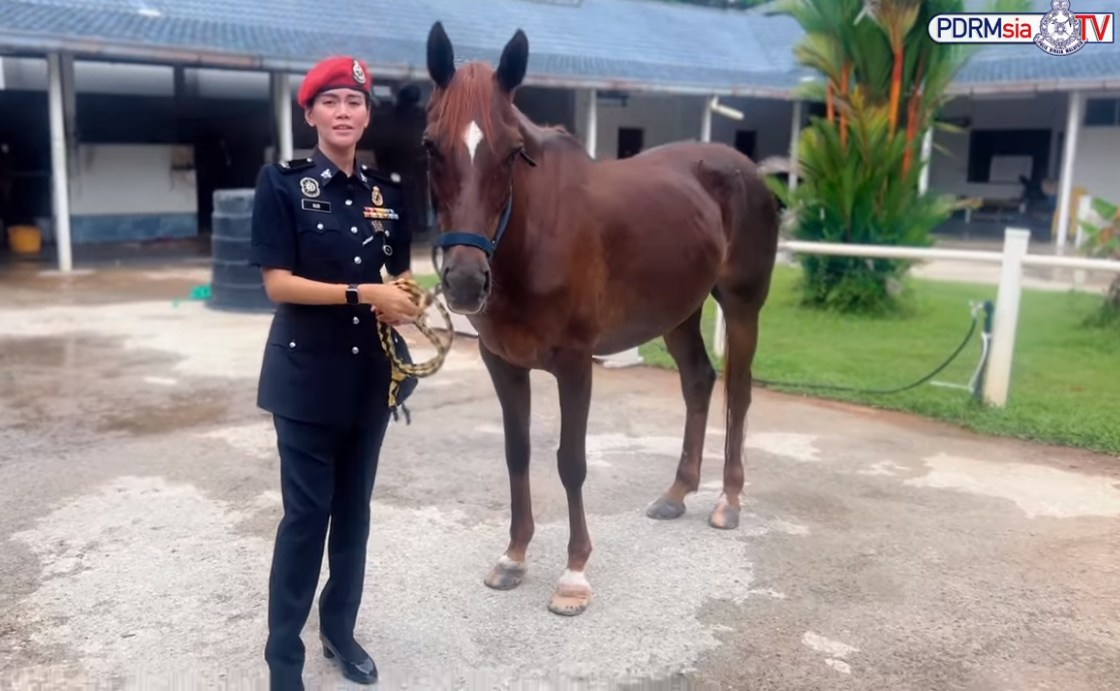 Ucapan Selamat Hari Raya Aidilfitri Tahun 2022