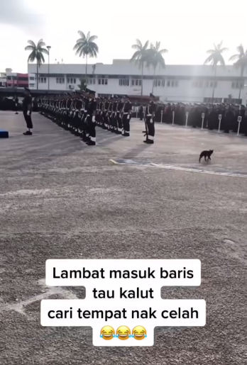Usik Usik Pdrm