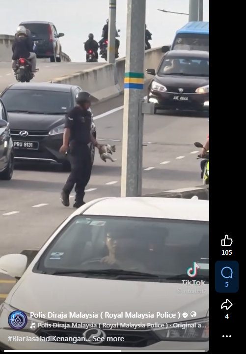 Video Pilihan Abang Polis Selamatkan Anak Kucing