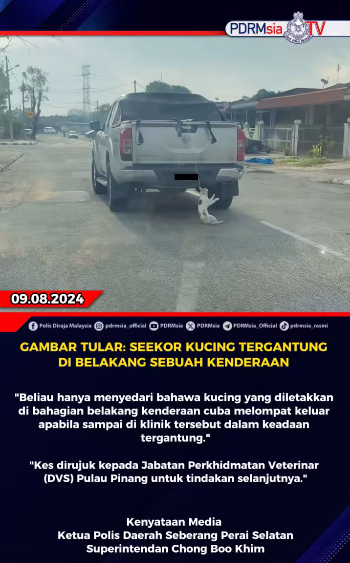 Gambar Tular Seekor Kucing Tergantung Di Belakang Sebuah Kenderaan