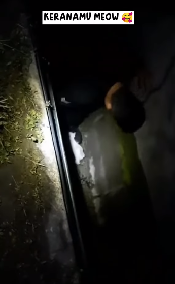 Biarjasajadikenangan Video Pilihan Terima Kasih Friends Of Pdrm Atas Sokongan Kepada Kami Selama Ini