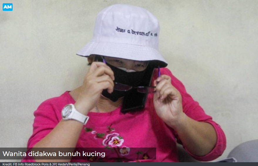 Update Wanita Pukul Kucing Bunting Dengan Besi Sampai Mati Didakwa