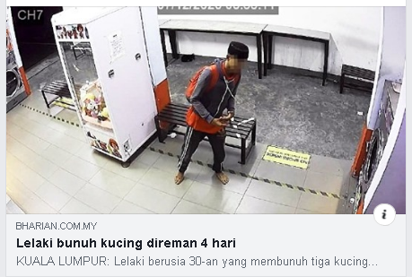Update Lelaki Bunuh Kucing Direman 4 Hari