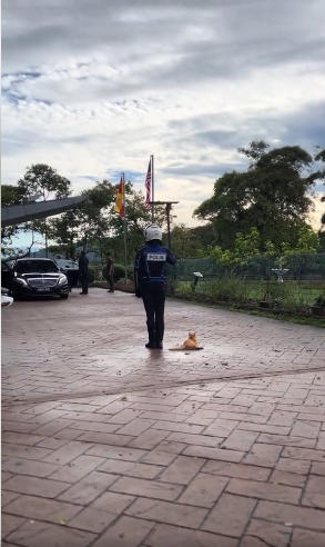 Usik Usik Oyen Buat Hal Apa Hari Ini